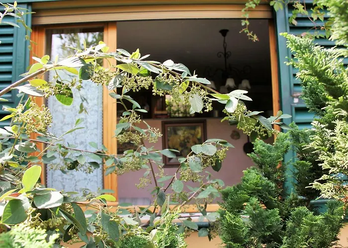 Studios Garden Terrace Oltrarno